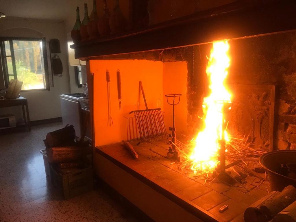 Casa Vacanze Podere Marilla Peccioli Eksteriør billede