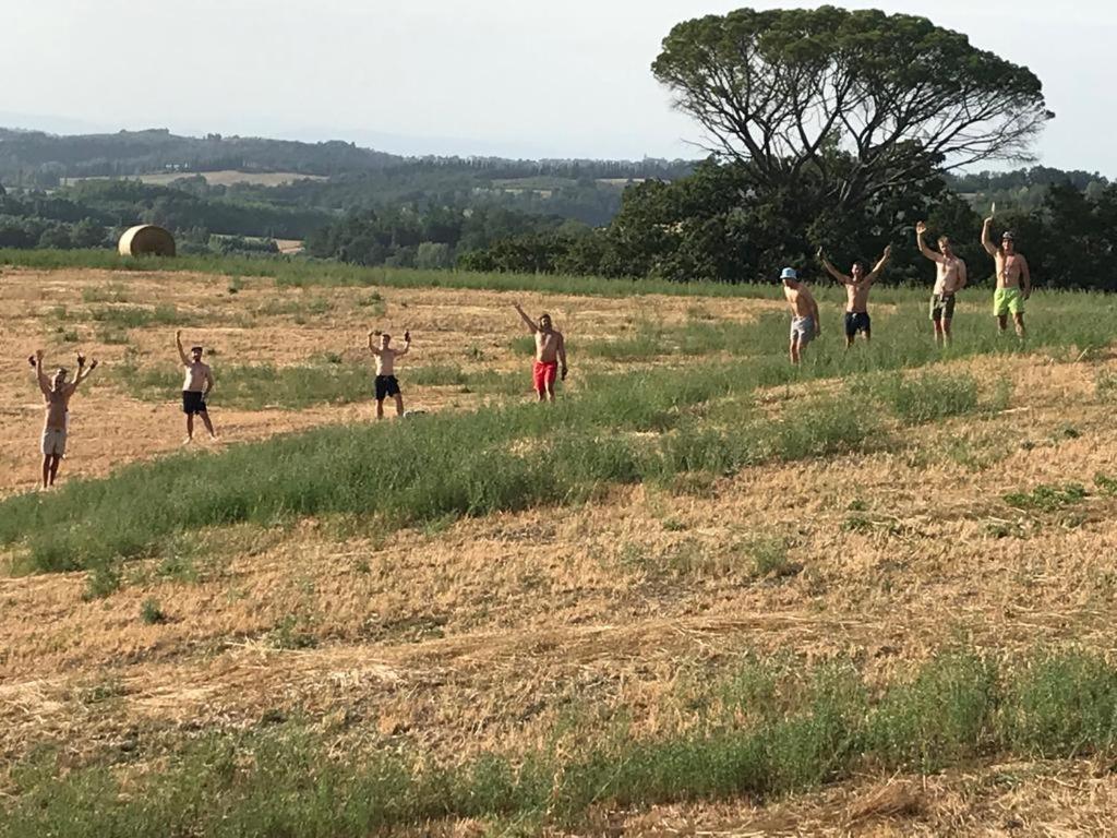 Casa Vacanze Podere Marilla Peccioli Eksteriør billede