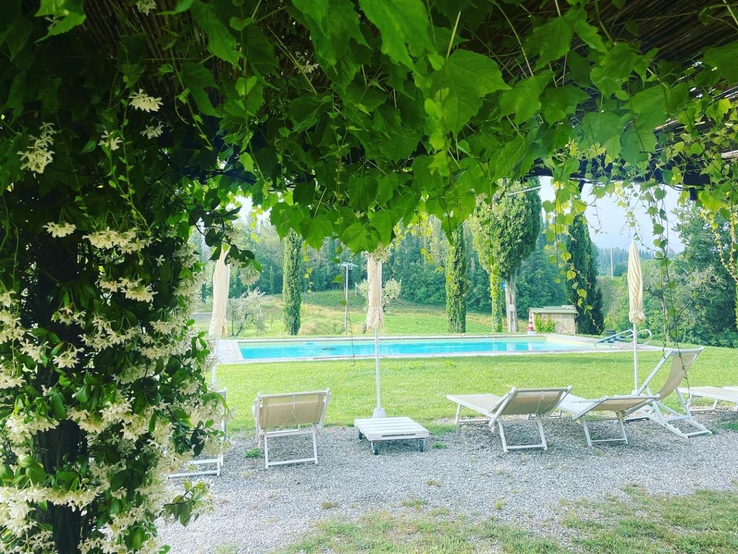 Casa Vacanze Podere Marilla Peccioli Eksteriør billede
